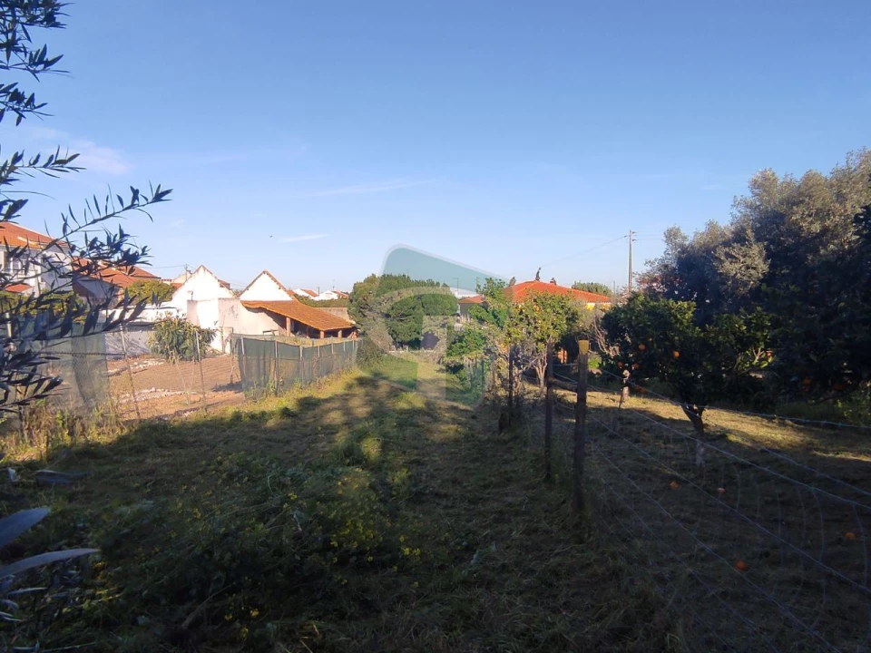 Terreno para Venda em Cartaxo e Vale da Pinta Foto 11