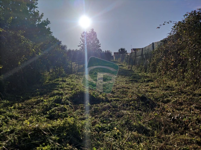 Terreno para Venda em Cartaxo e Vale da Pinta Foto 9