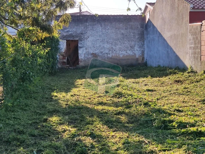 Terreno para Venda em Cartaxo e Vale da Pinta Foto 10