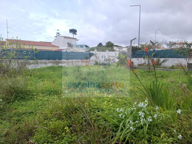 Moradia T3 para Venda em Sesimbra (Castelo) Foto 4