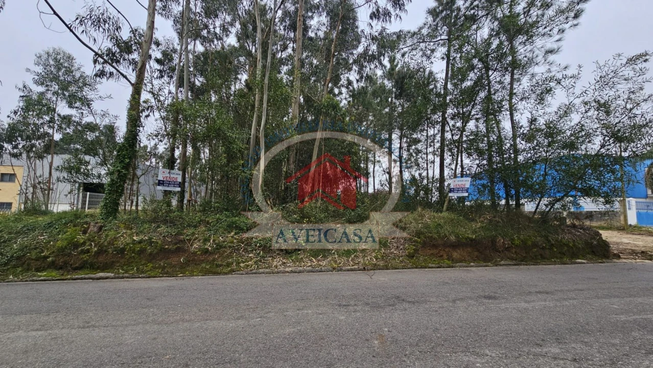 Terreno para Venda em Ílhavo (São Salvador) Foto 2