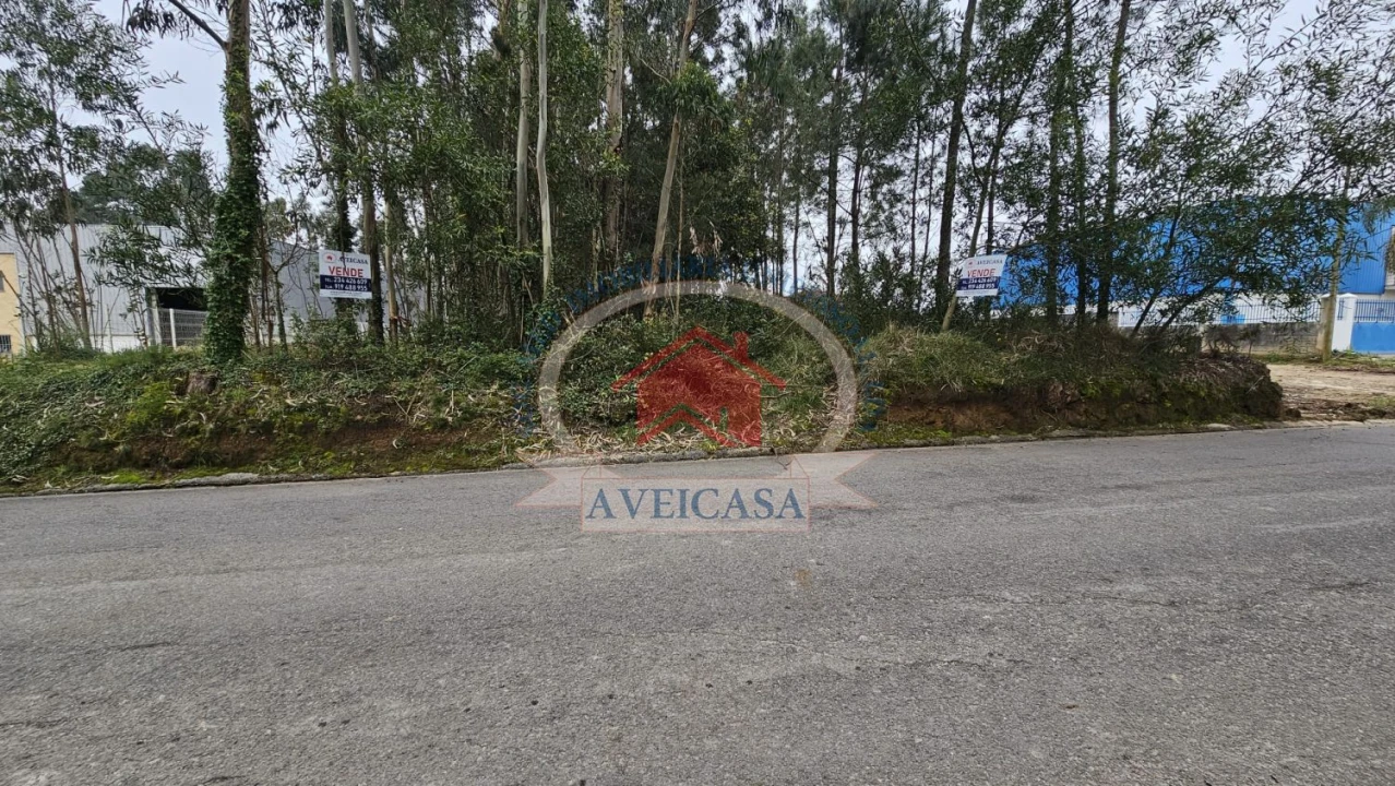Terreno para Venda em Ílhavo (São Salvador) Foto 1