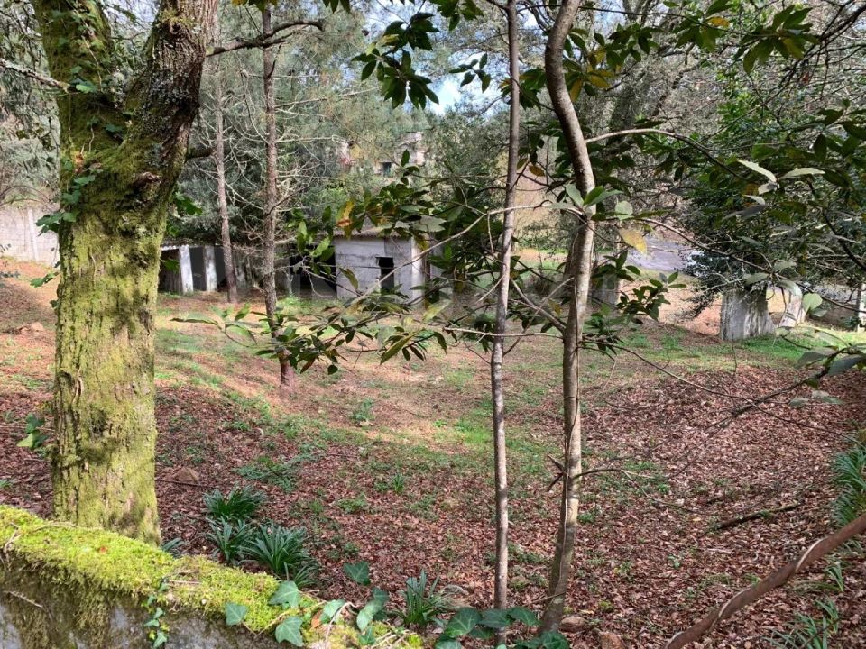 Terreno Agricola ou Rústico para Venda em Vilar de Mouros Foto 2