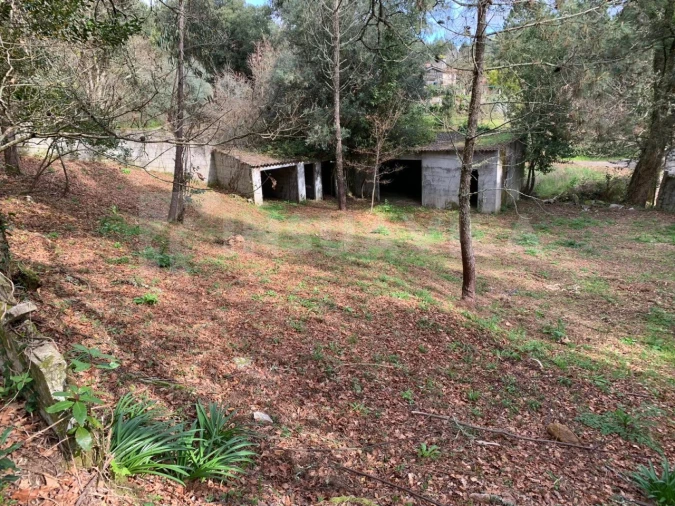Terreno Agricola ou Rústico para Venda em Vilar de Mouros Foto 6