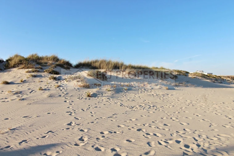 Apartamento T2 para Venda em Altura Foto 6