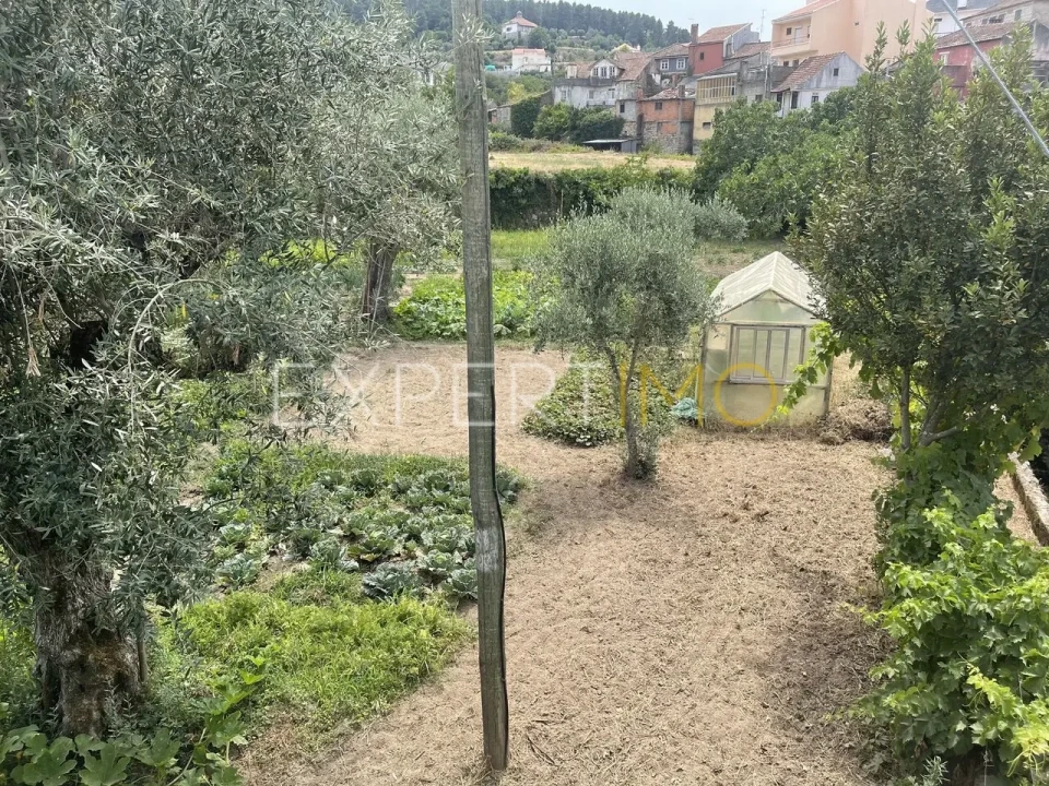 Moradia T2 para Venda em São Paio Foto 7