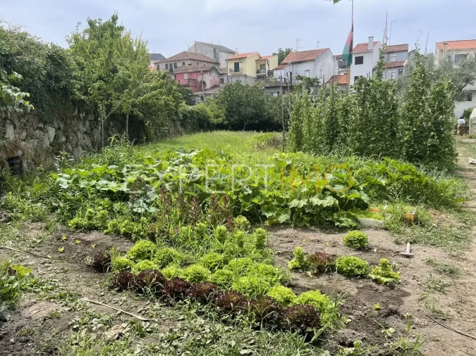 Moradia T2 para Venda em São Paio Foto 6
