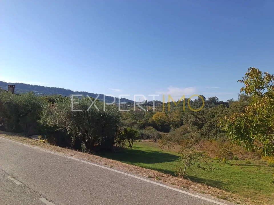 Terreno para Venda em Vila Cã Foto 7