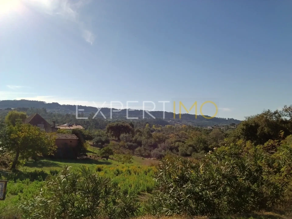 Terreno para Venda em Vila Cã Foto 8