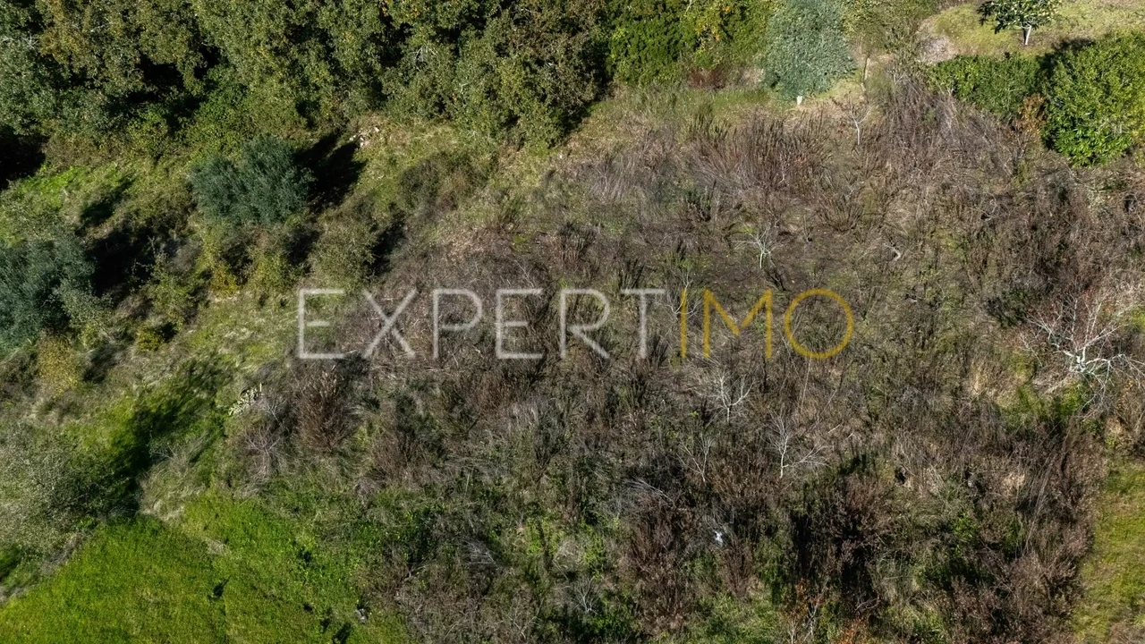 Terreno para Venda em Vila Cã Foto 10