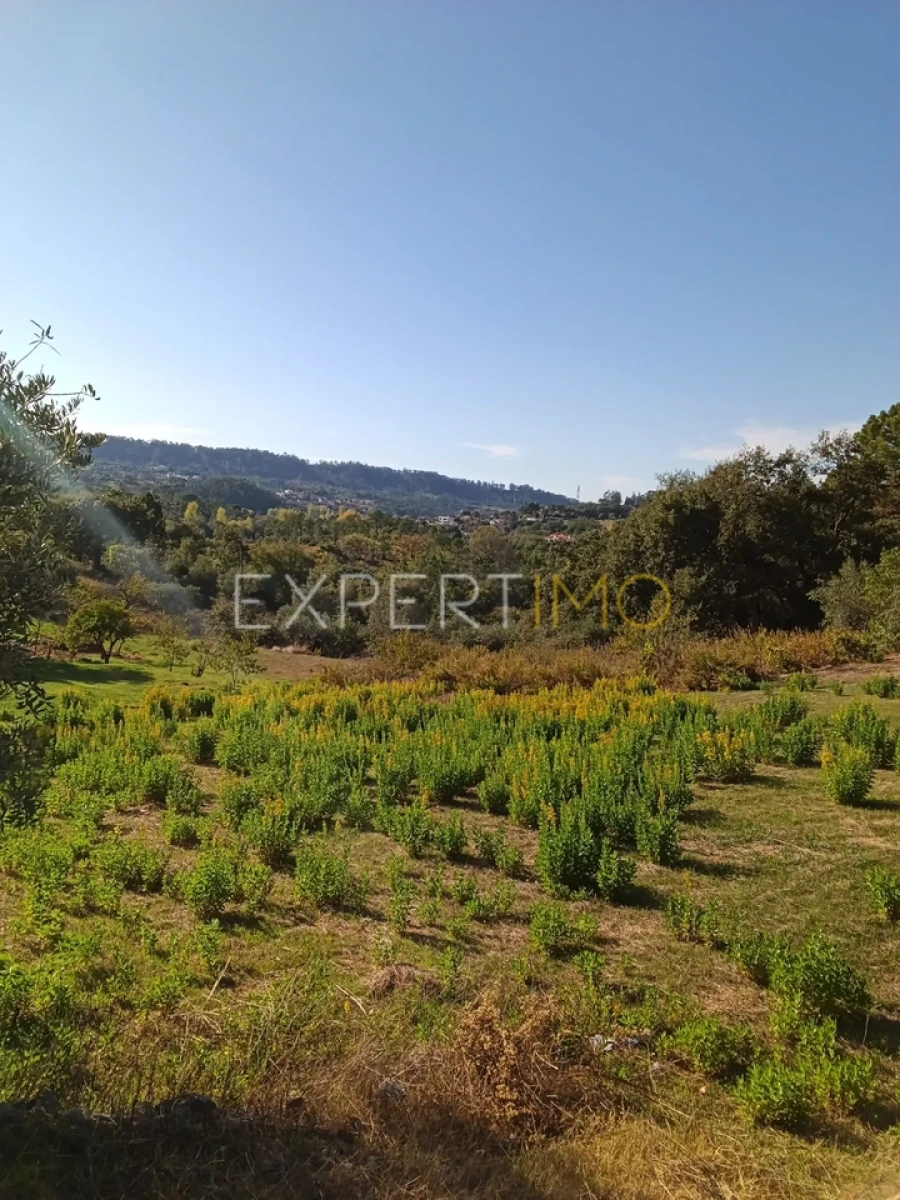 Terreno para Venda em Vila Cã Foto 9