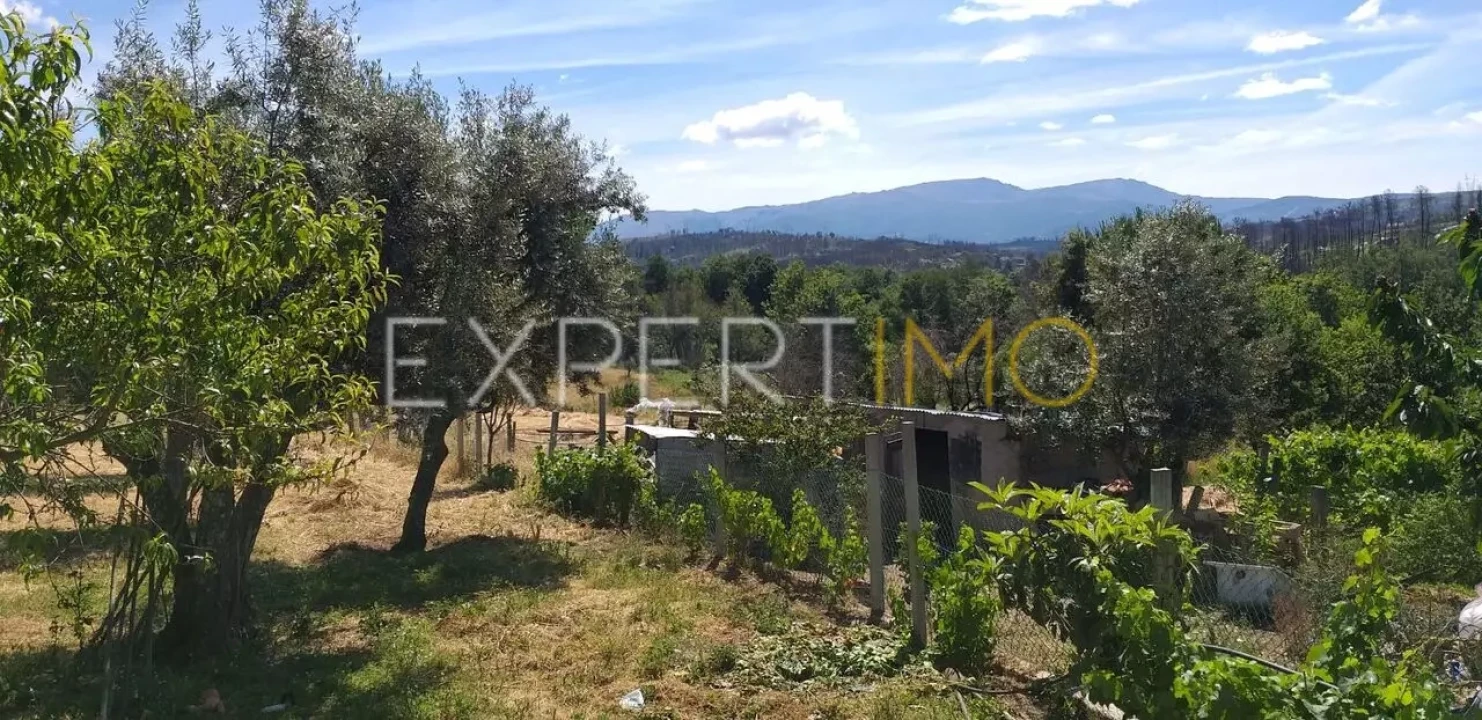 Quinta T4 para Venda em Lagos da Beira e Lajeosa Foto 4