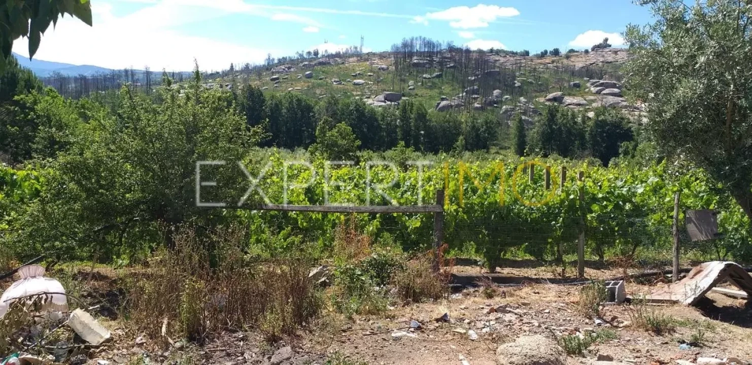 Quinta T4 para Venda em Lagos da Beira e Lajeosa Foto 5