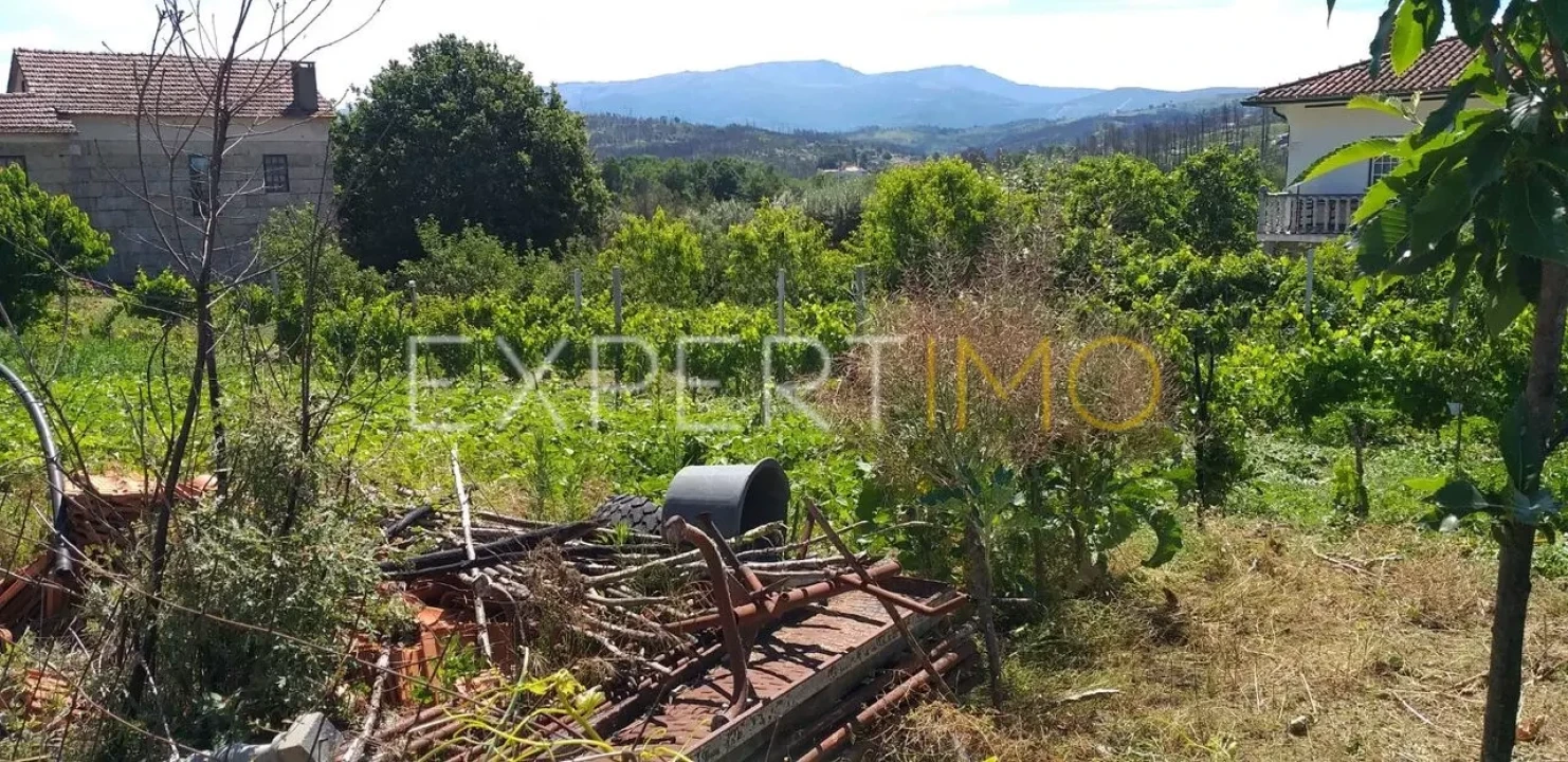 Quinta T4 para Venda em Lagos da Beira e Lajeosa Foto 6