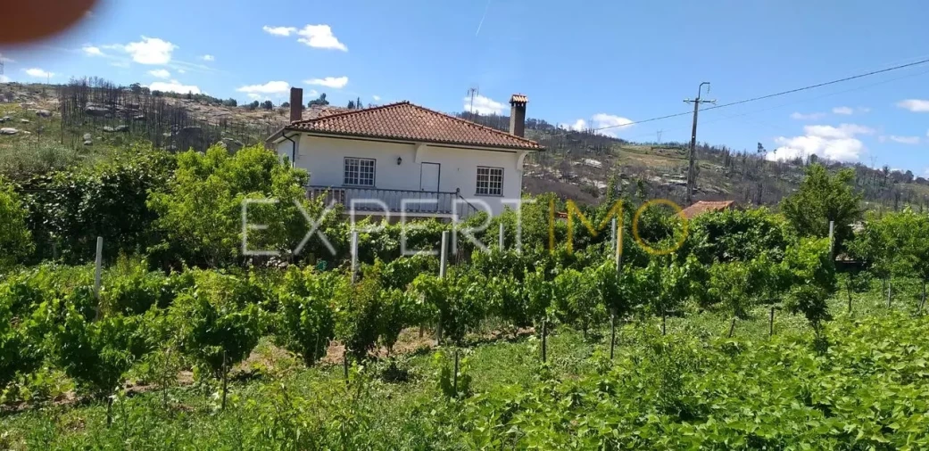 Quinta T4 para Venda em Lagos da Beira e Lajeosa Foto 3