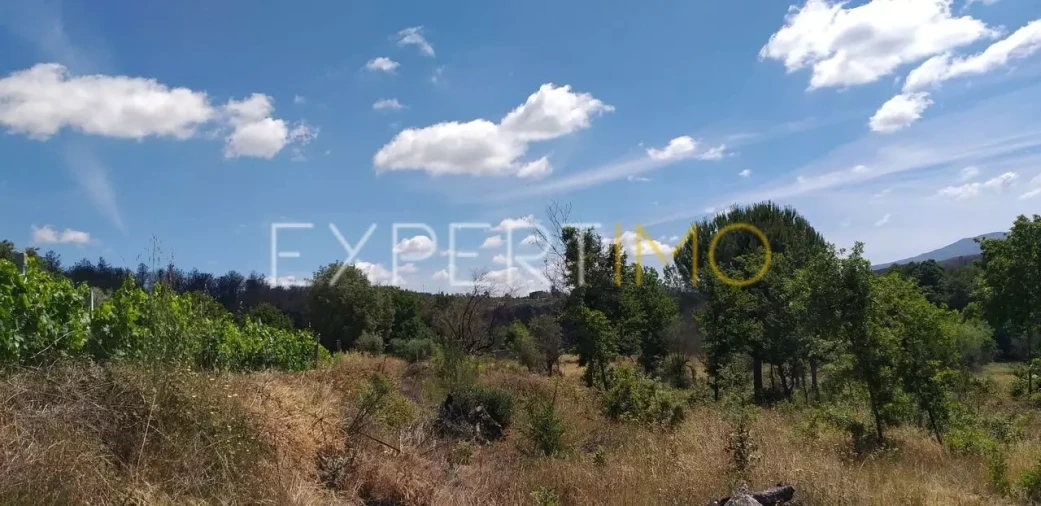 Quinta T4 para Venda em Lagos da Beira e Lajeosa Foto 8