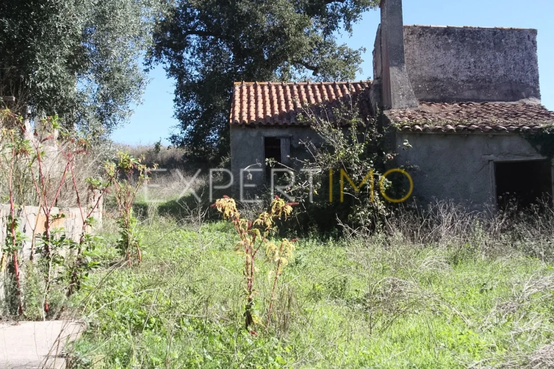 Quinta T4 para Venda em Redinha Foto 12