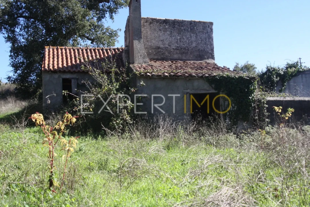 Quinta T4 para Venda em Redinha Foto 13