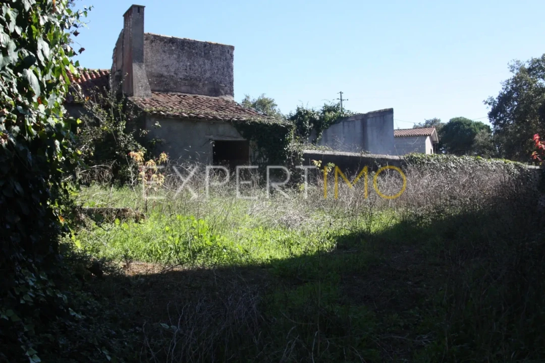 Quinta T4 para Venda em Redinha Foto 16