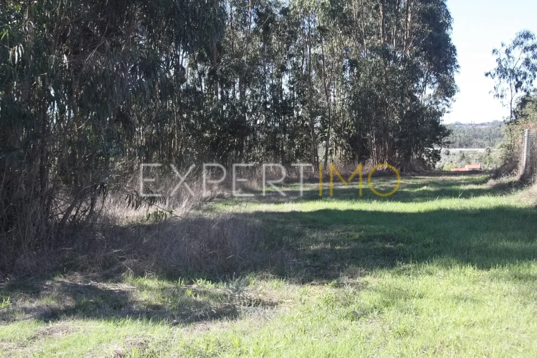 Quinta T4 para Venda em Redinha Foto 18