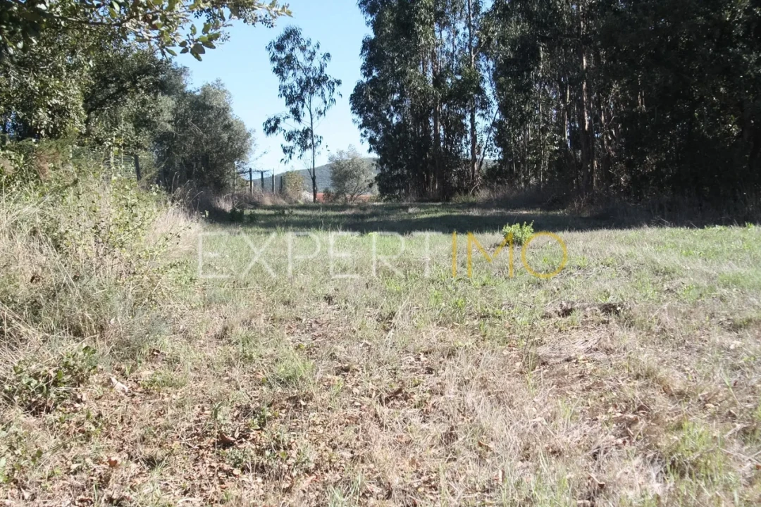 Quinta T4 para Venda em Redinha Foto 19