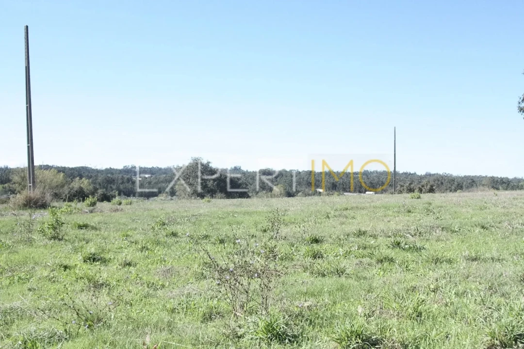 Quinta T4 para Venda em Redinha Foto 20