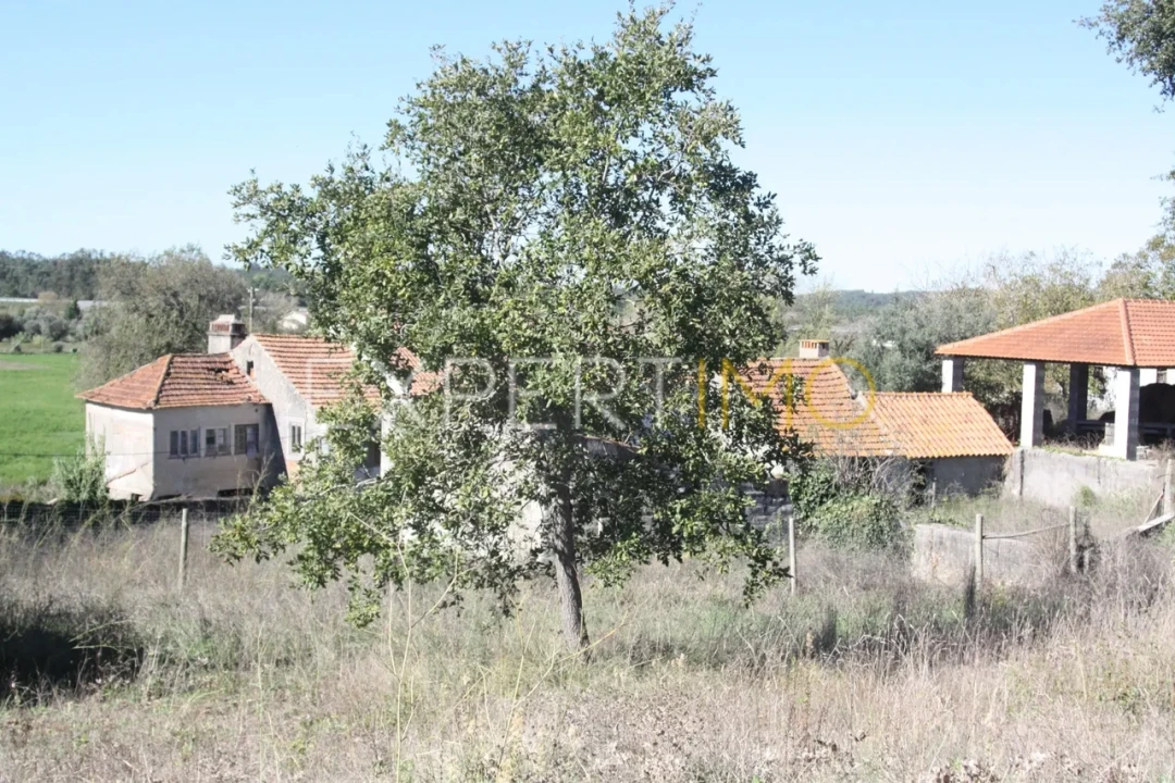 Quinta T4 para Venda em Redinha Foto 26