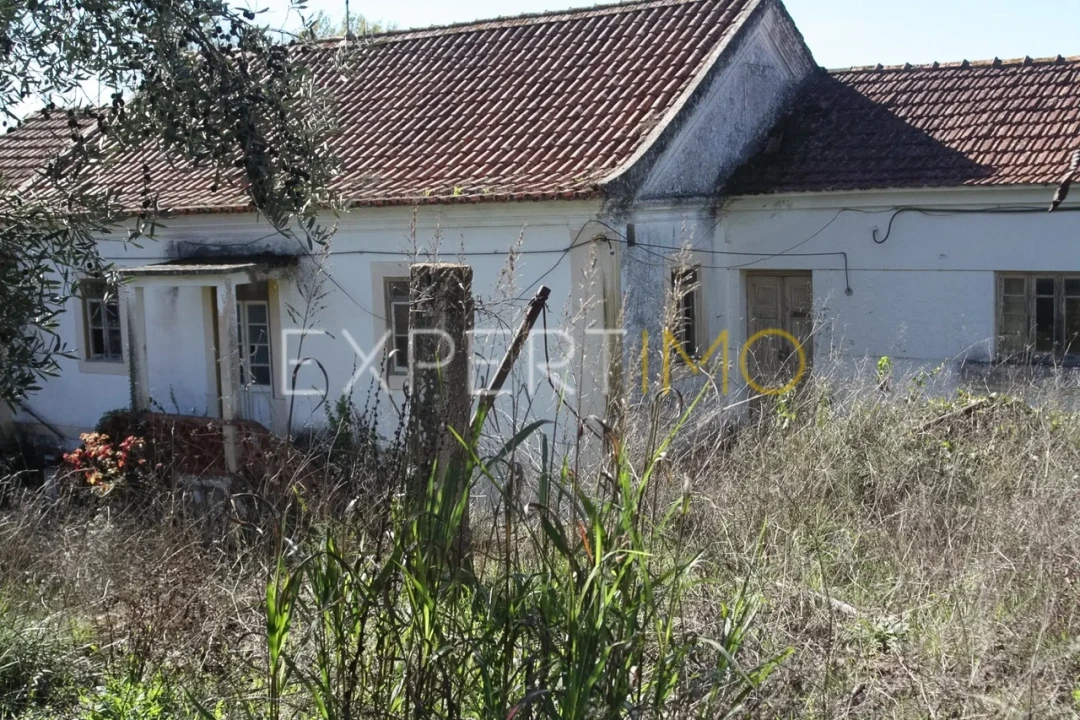 Quinta T4 para Venda em Redinha Foto 40