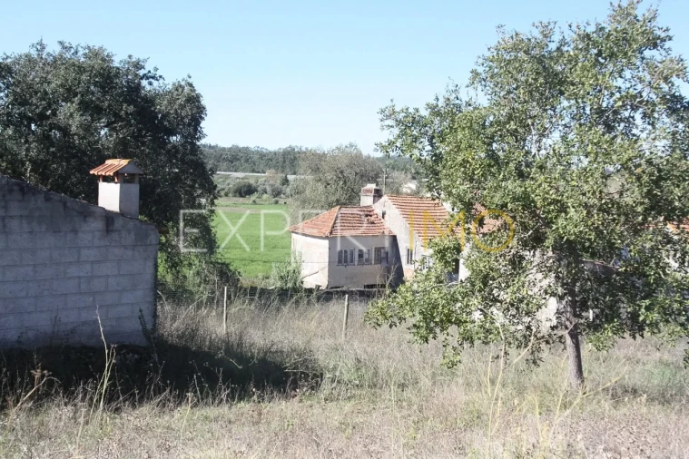 Quinta T4 para Venda em Redinha Foto 1