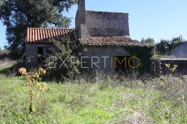 Quinta T4 para Venda em Redinha Foto 13