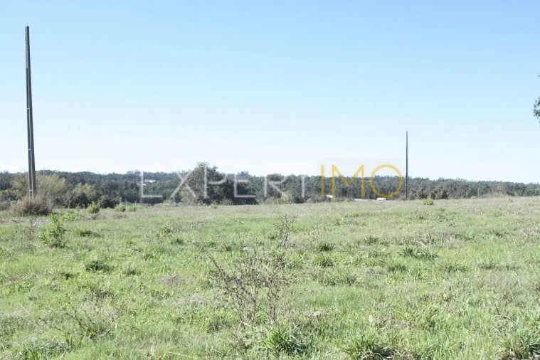 Quinta T4 para Venda em Redinha Foto 20