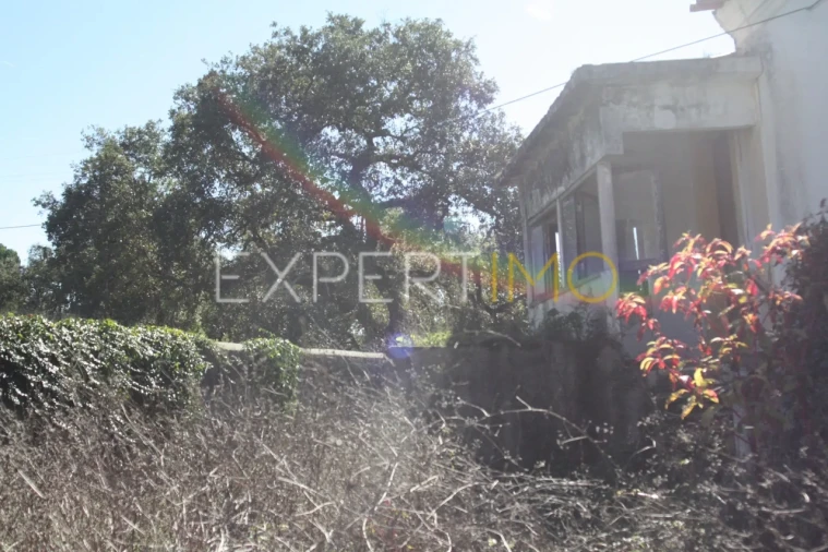 Quinta T4 para Venda em Redinha Foto 31