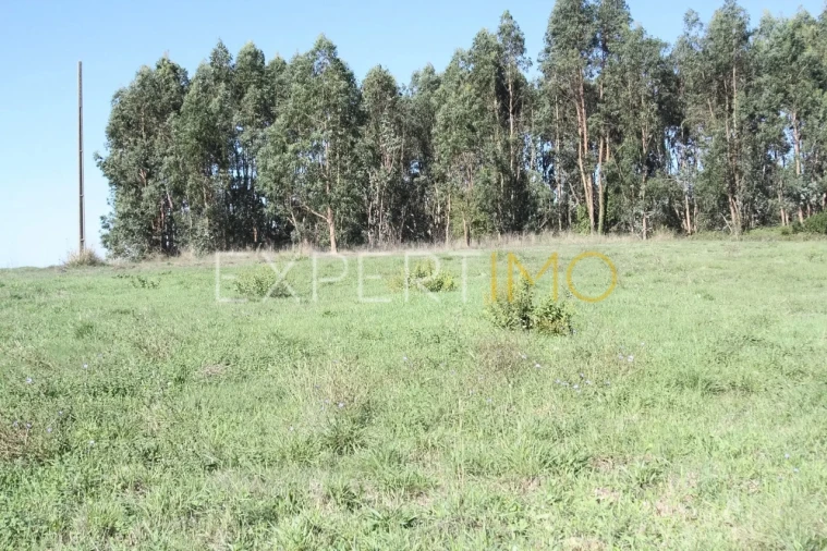 Quinta T4 para Venda em Redinha Foto 32