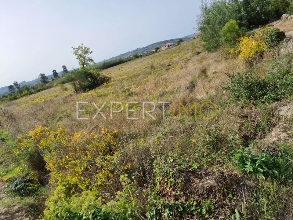 Terreno para Venda em Moimenta da Serra e Vinhó Foto 10