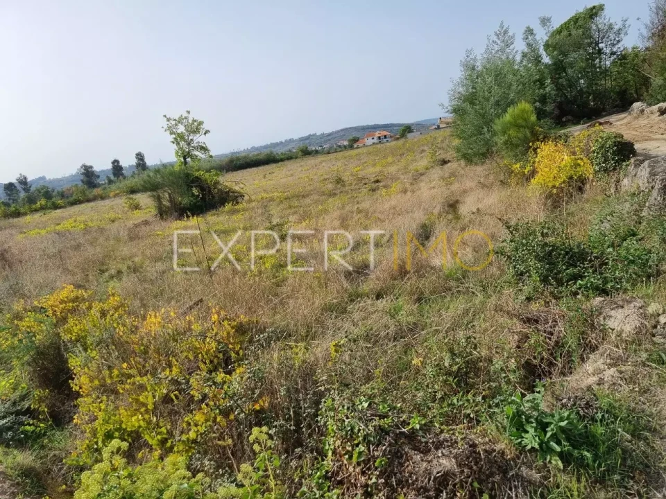 Terreno para Venda em Moimenta da Serra e Vinhó Foto 11