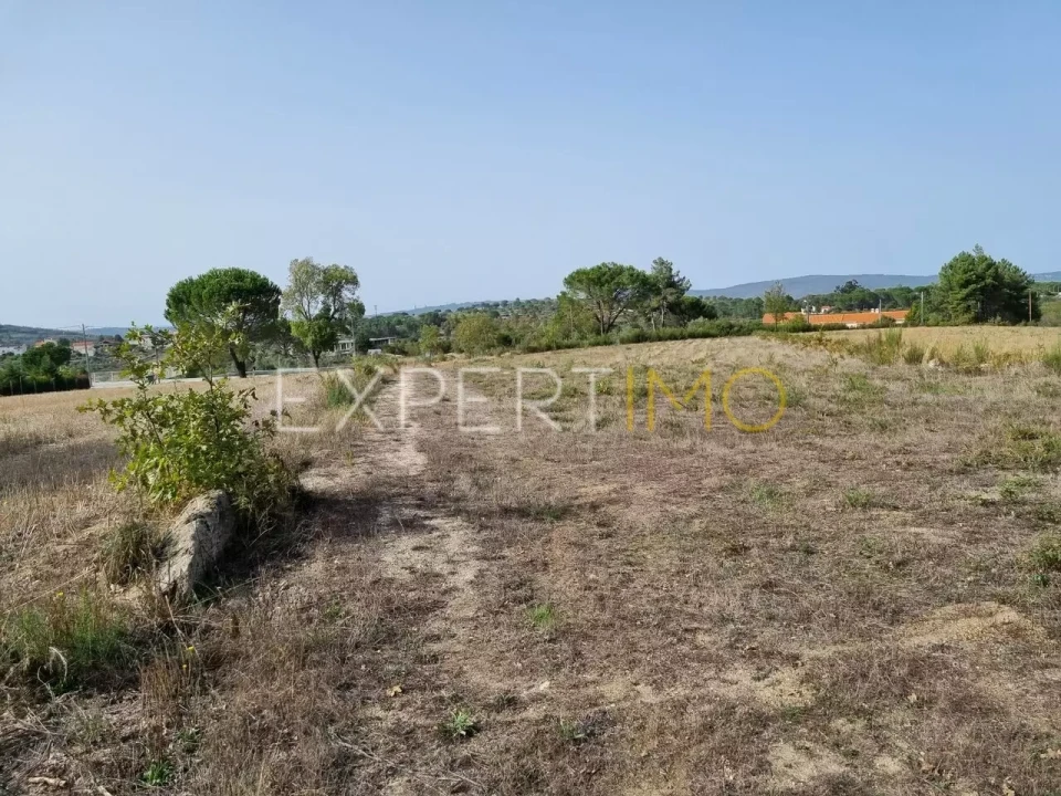 Terreno para Venda em Moimenta da Serra e Vinhó Foto 14