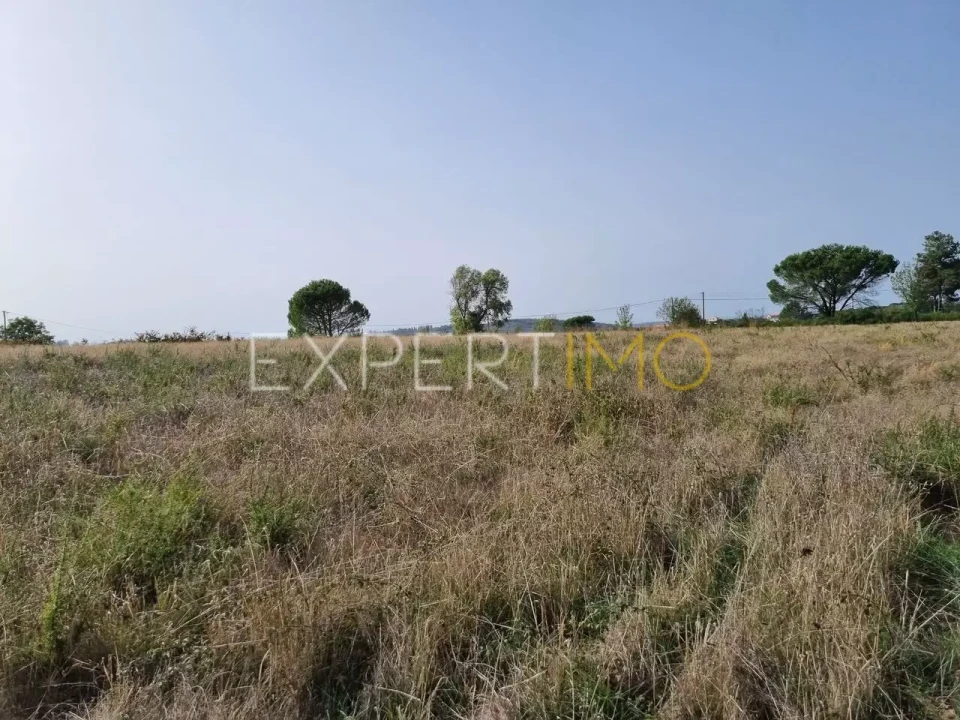 Terreno para Venda em Moimenta da Serra e Vinhó Foto 16