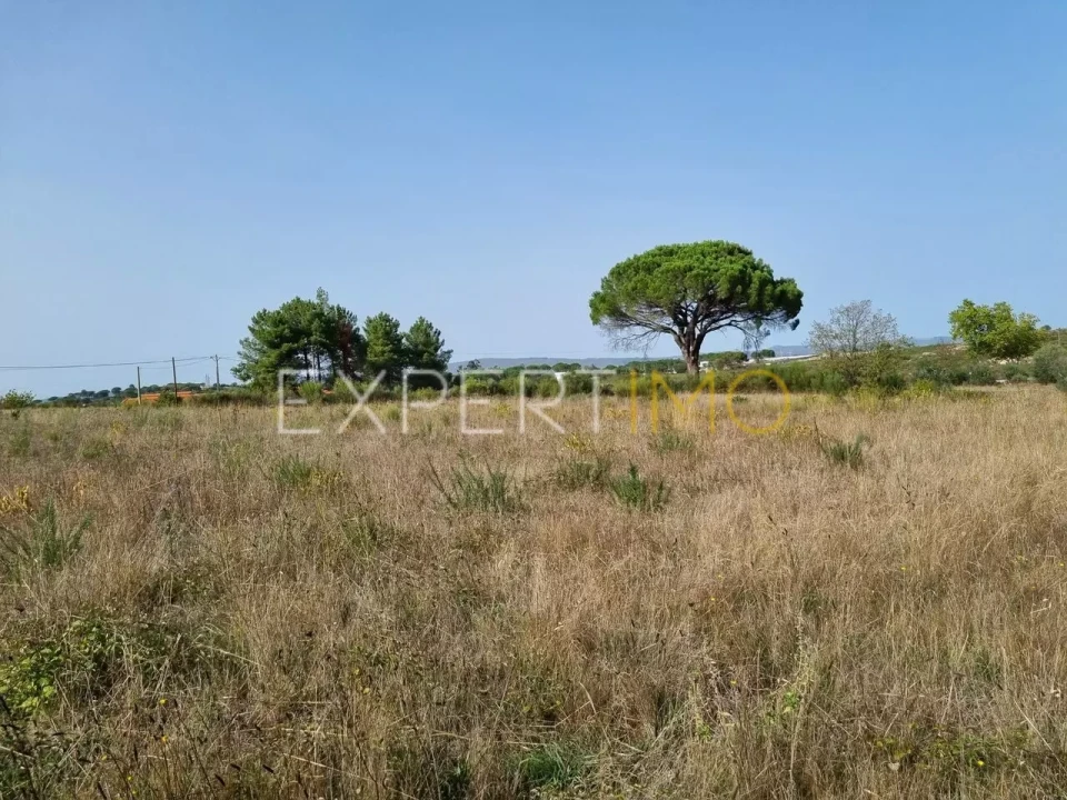 Terreno para Venda em Moimenta da Serra e Vinhó Foto 17