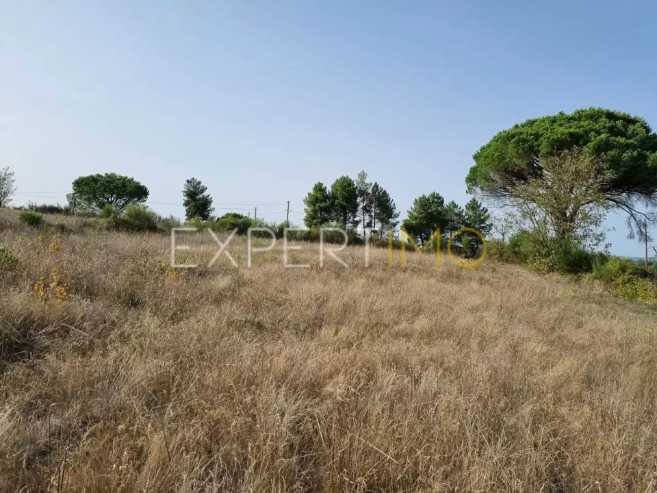 Terreno para Venda em Moimenta da Serra e Vinhó Foto 19