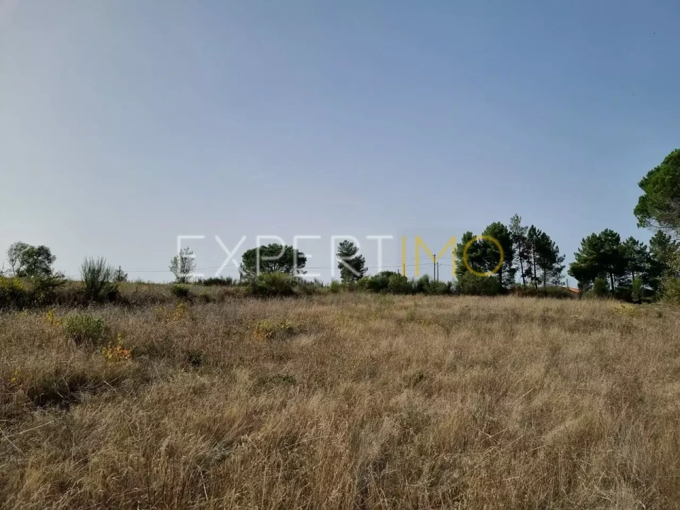 Terreno para Venda em Moimenta da Serra e Vinhó Foto 20