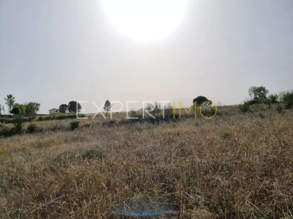 Terreno para Venda em Moimenta da Serra e Vinhó Foto 22