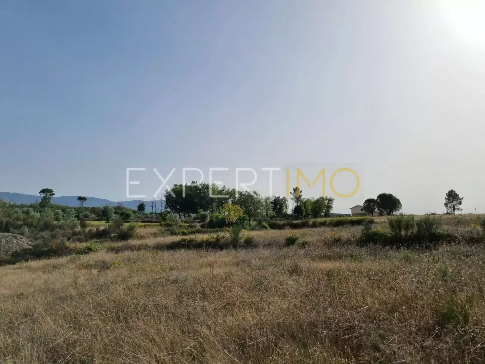 Terreno para Venda em Moimenta da Serra e Vinhó Foto 23