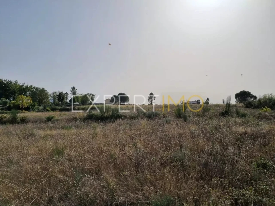 Terreno para Venda em Moimenta da Serra e Vinhó Foto 24