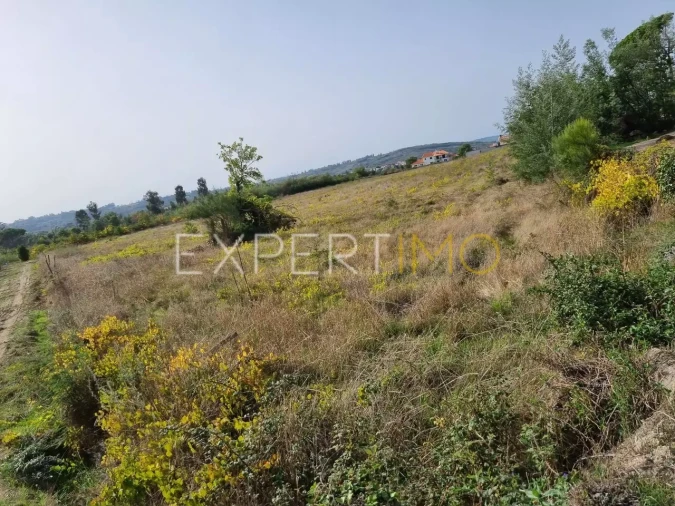 Terreno para Venda em Moimenta da Serra e Vinhó Foto 12