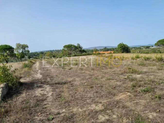 Terreno para Venda em Moimenta da Serra e Vinhó Foto 13