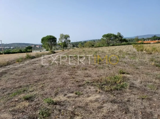 Terreno para Venda em Moimenta da Serra e Vinhó Foto 15