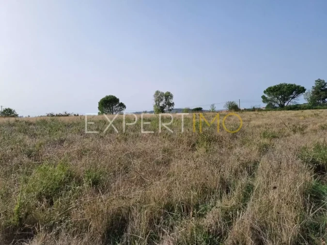 Terreno para Venda em Moimenta da Serra e Vinhó Foto 16