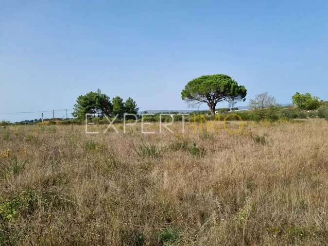 Terreno para Venda em Moimenta da Serra e Vinhó Foto 17