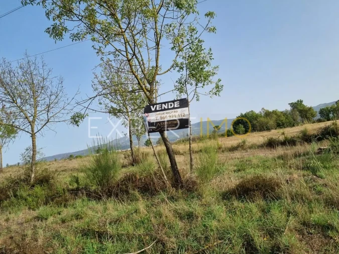 Terreno para Venda em Moimenta da Serra e Vinhó Foto 2
