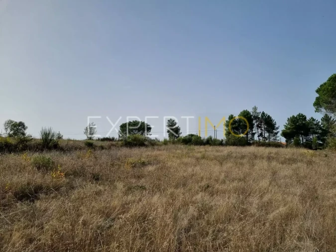 Terreno para Venda em Moimenta da Serra e Vinhó Foto 20
